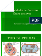 Problema Para Gram Postivos.