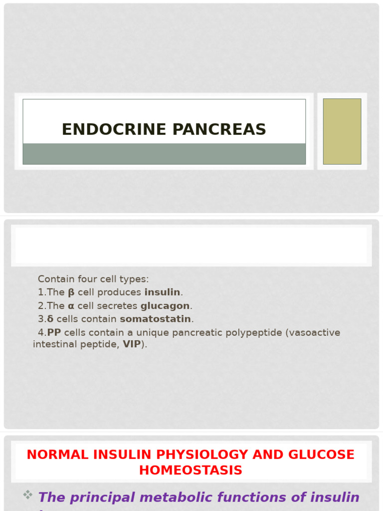 Endocrine Pancreas | PDF