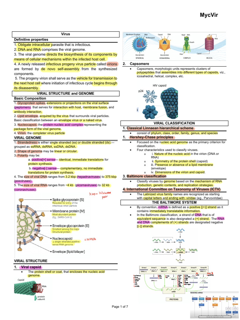 Virus | PDF