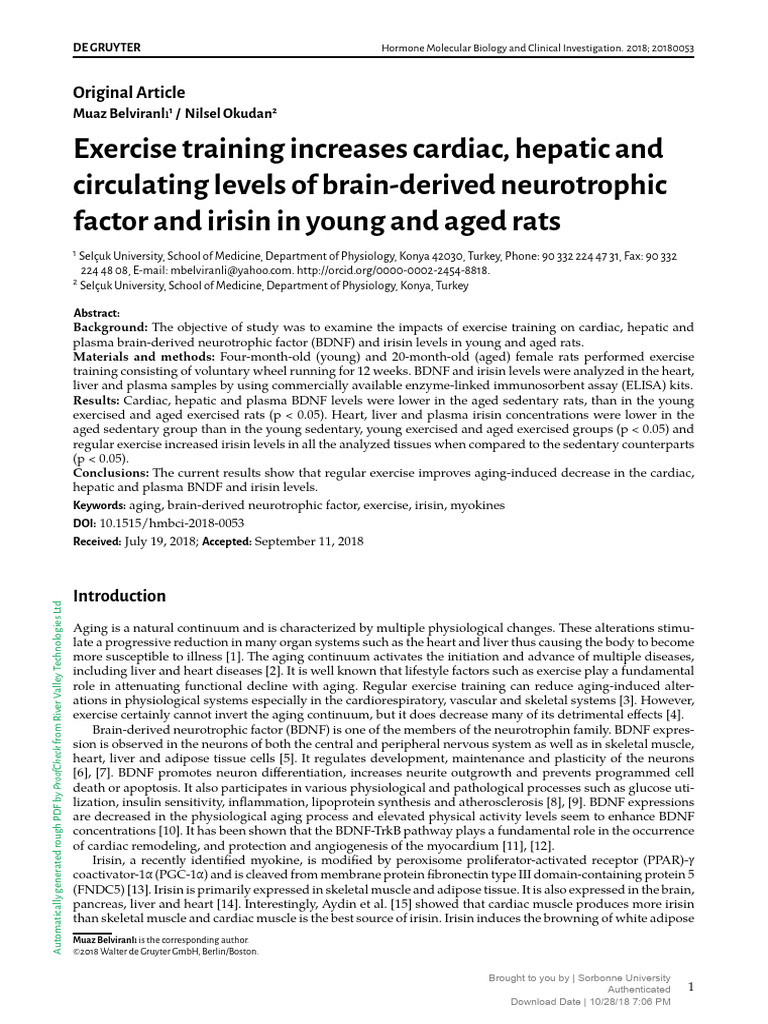 Exercise Training, BNDF and Rats | PDF
