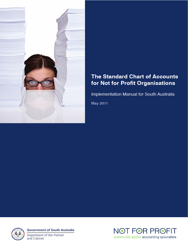 StandardChartofAccountsDPC SCOA Implementation Manual 250511 AMP-1 | PDF