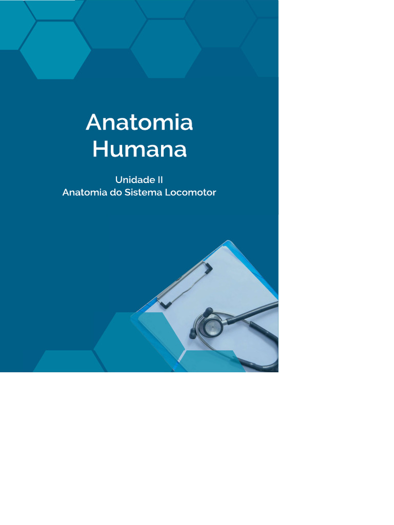 Anatomia Humana Parte 2 | PDF