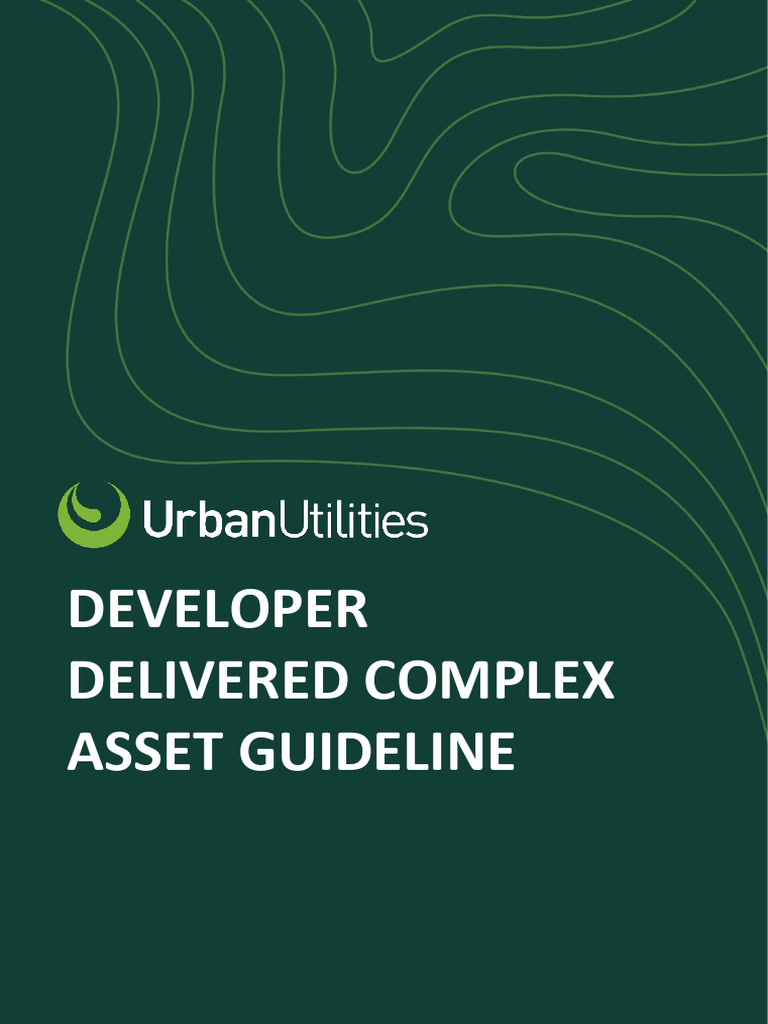 DS External Guidelines Developer Delivered Complex Asset August 2023 | PDF