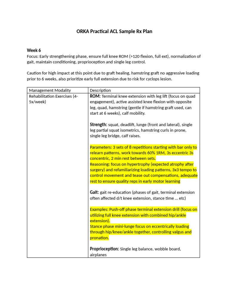 ORKA Practical ACL Sample RX Plan | PDF