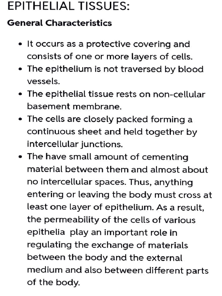 Epithelial Tissue | PDF