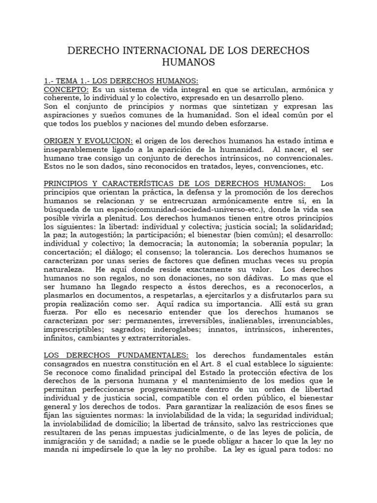 Derecho Internacional de Los Derechos Humanos | PDF
