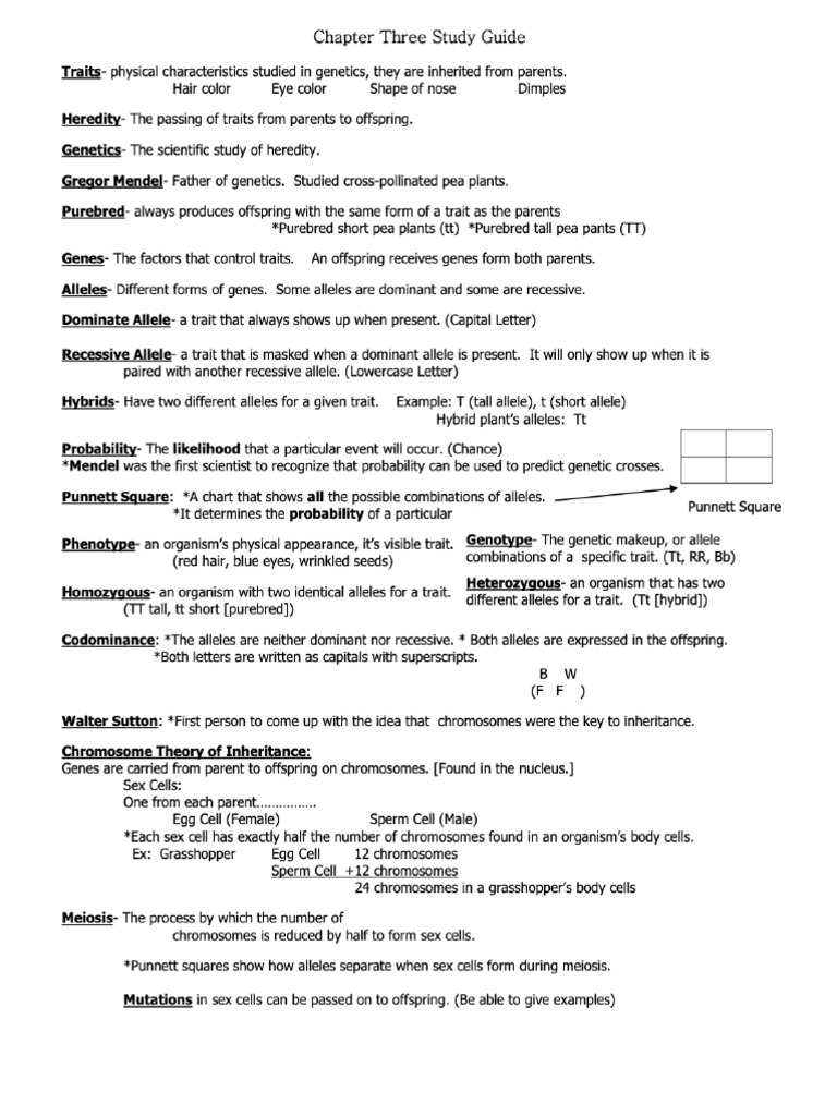 Chapter Three Study Guide | PDF