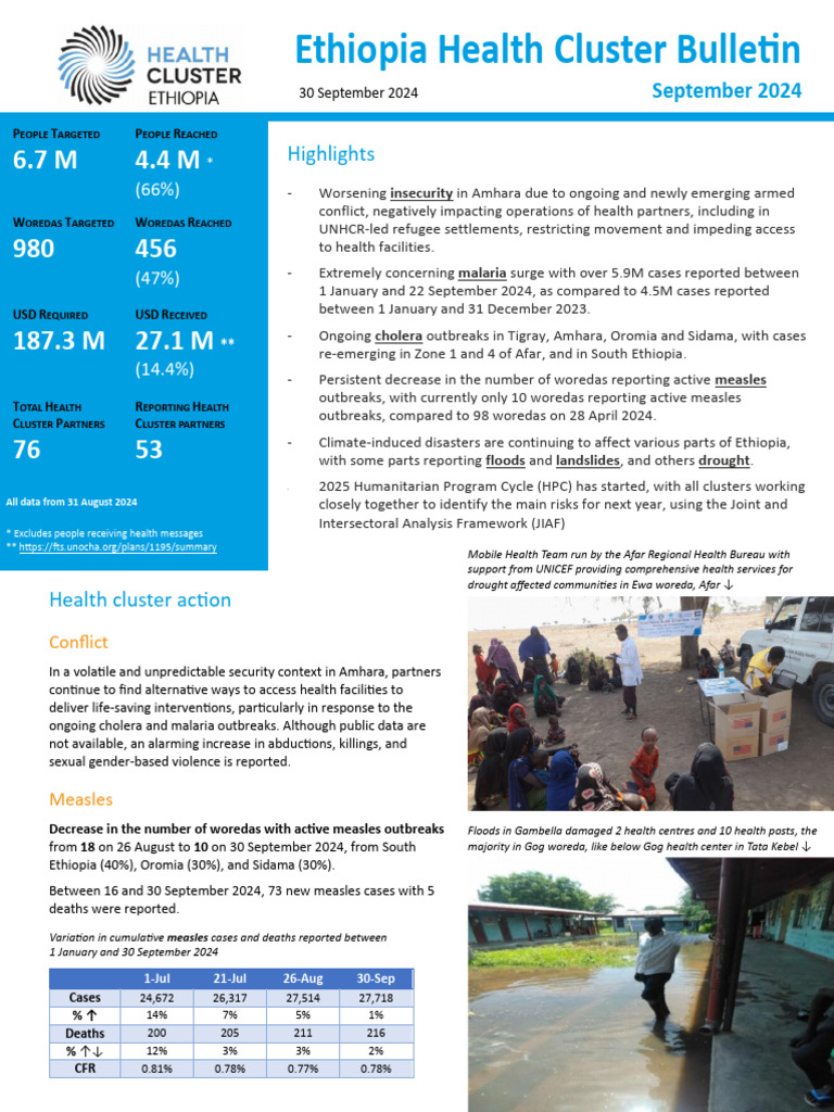 WHO Ethiopia Health Cluster Bulletin 20240930 | PDF