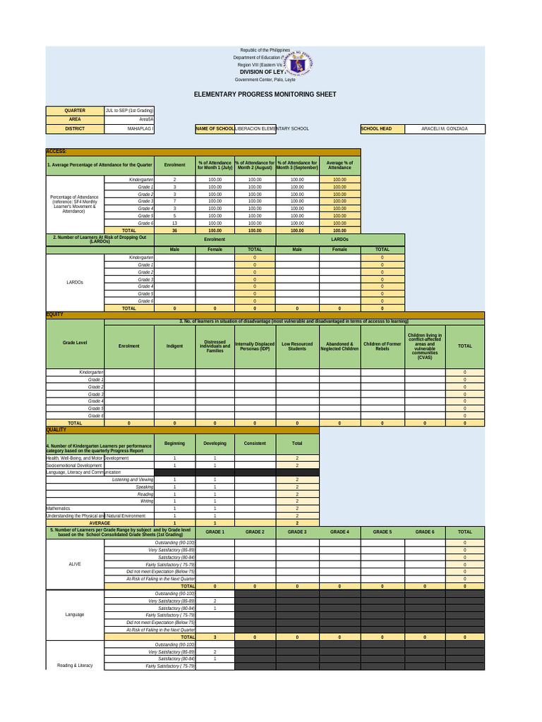 Elementary Progress Monitoring Report | PDF | Literacy