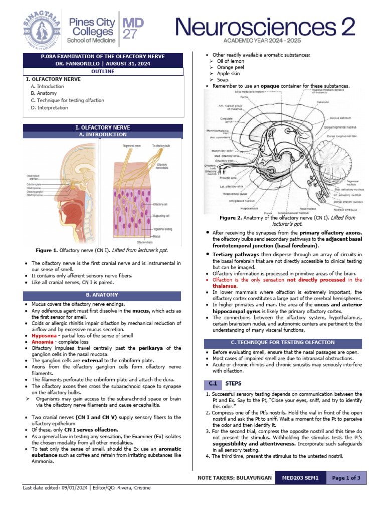 (Neuro) P.08a Examination of The Olfactory System (CN I) | PDF