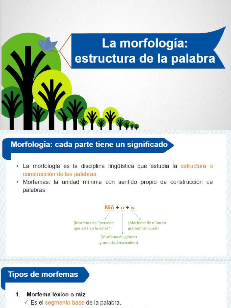 ESTRUCTURA DE LA PALABRA | PDF