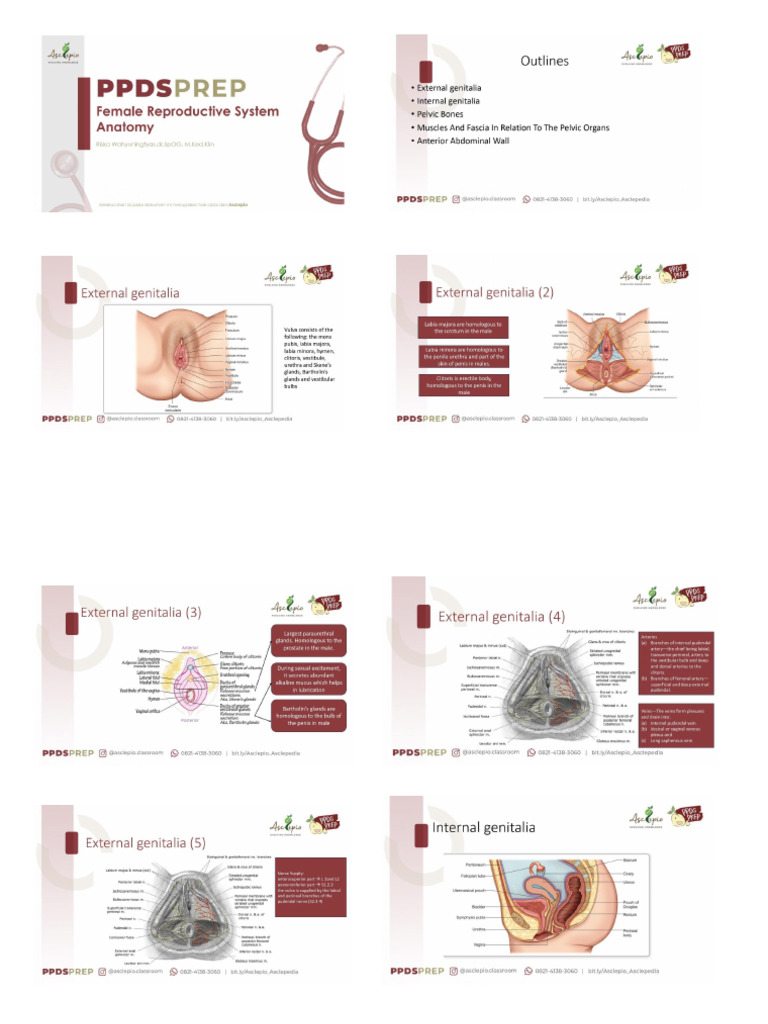 Mas Topek | PDF