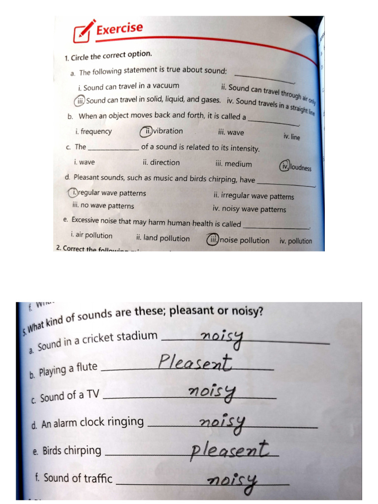 Exercise Unit 6b Sound Pdf