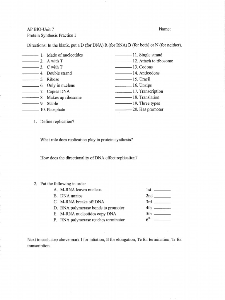 Protein Synthesis Practice Worksheets PDF