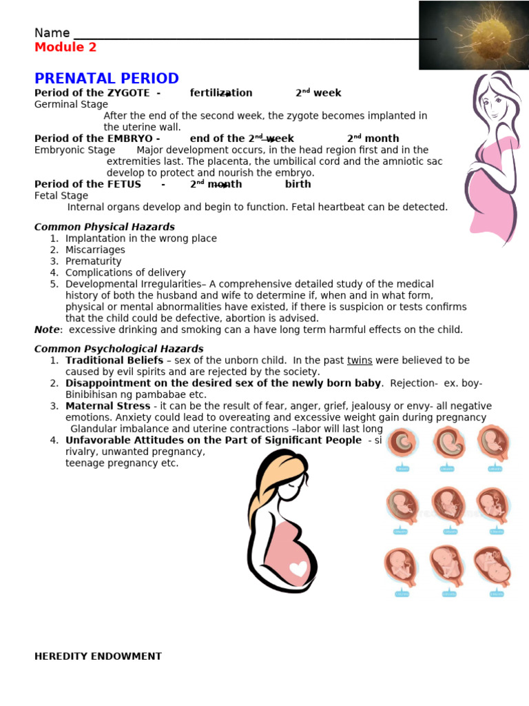 C and A Module 2 PN | PDF | Fetus | Prenatal Development