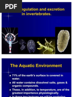 Download 7Osmoregulation and Excretion in Invertebrates- Final by Ahmed Oraby SN77875693 doc pdf