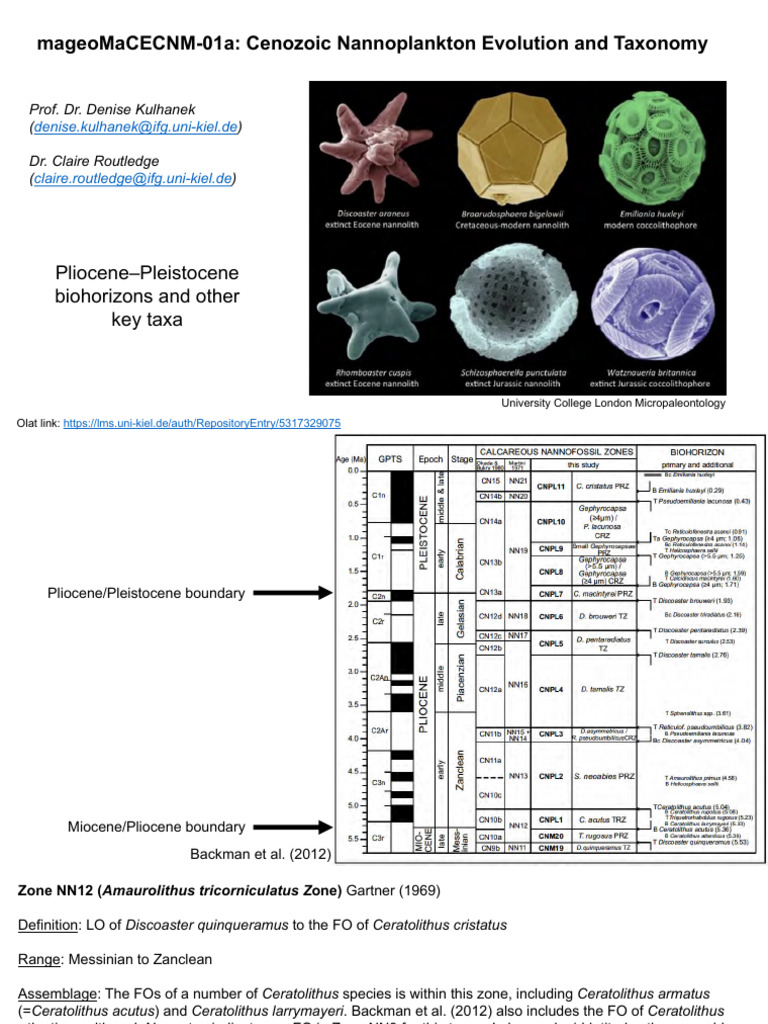 6-Pliocene Pleistocene 20240701 | PDF | Pliocene | Social Science