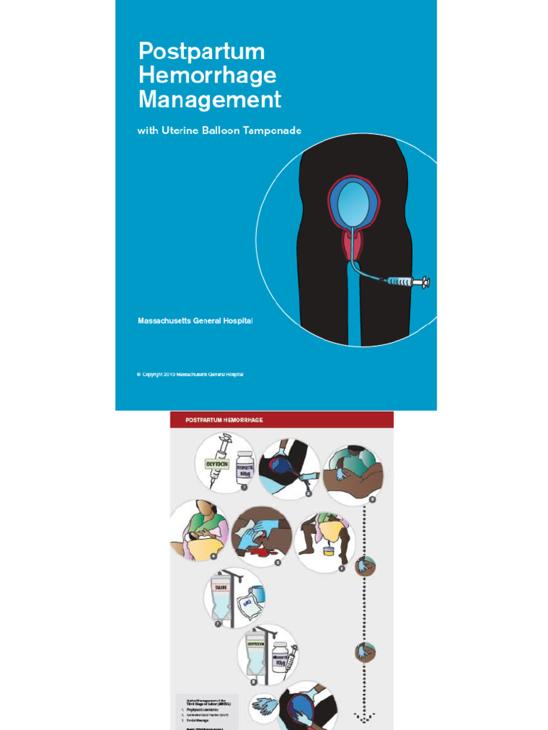 UBT Training Presentation English, With Flipchart Notes | PDF