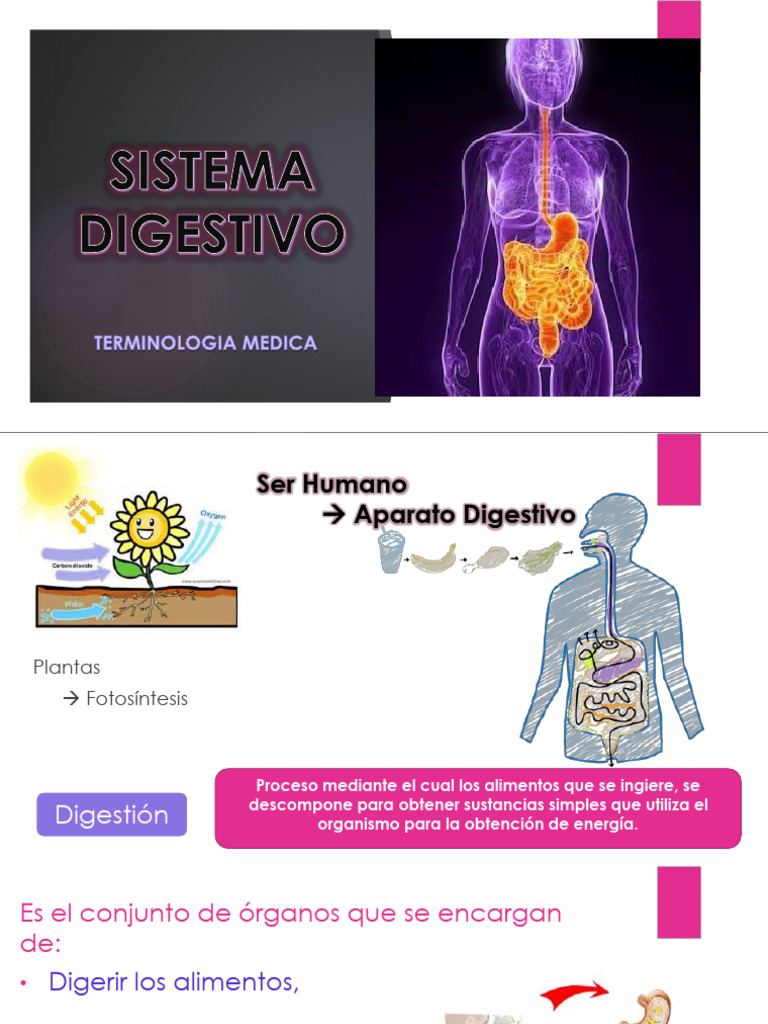 Direct File Topic Download | PDF | Abdomen | Digestive System