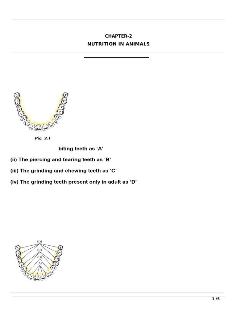 Q& Ans of Chapter 2 | PDF