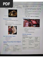 Prepladder 6 Notes | PDF