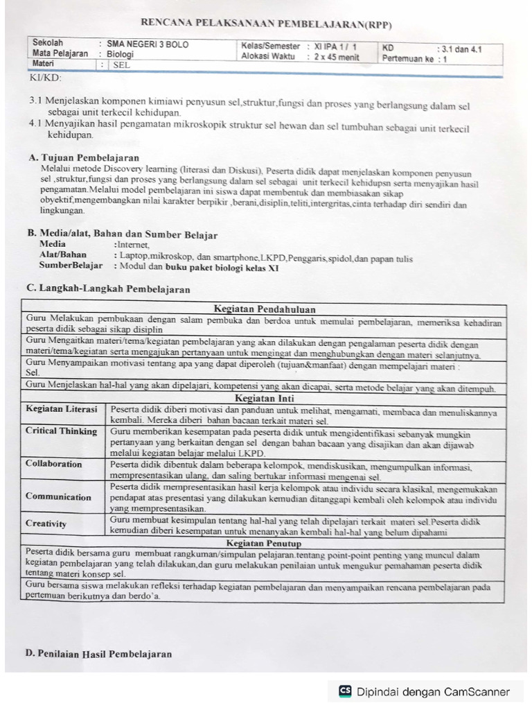 RPP | PDF