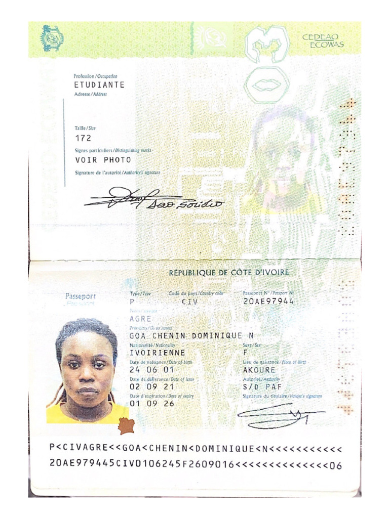 MODIFIER PASSEPORT intelligence overview