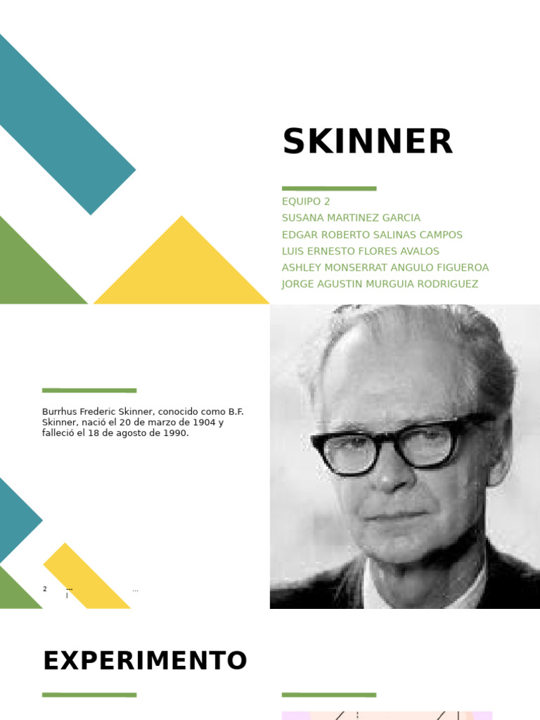 Skinner | PDF