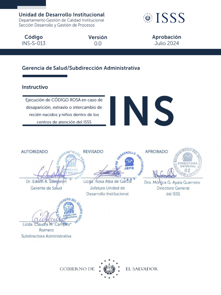 Instructivo_Ejecución CÓDIGO ROSA_Julio2024 | PDF