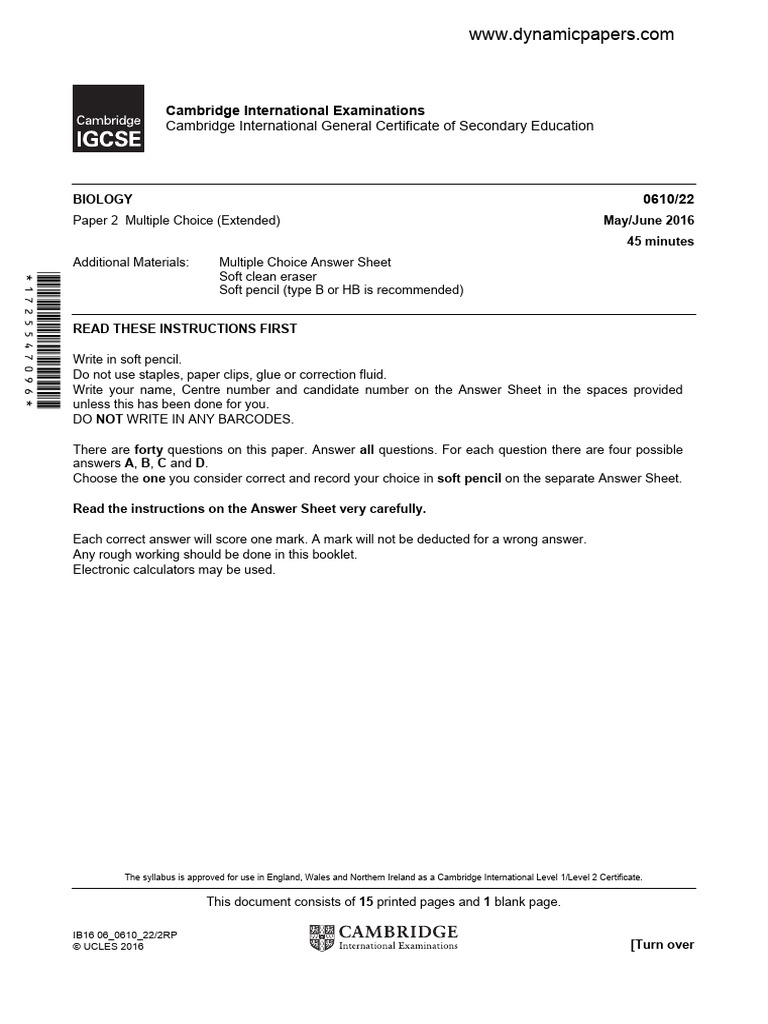Kami Export - Past Paper Practice GR 10 | PDF