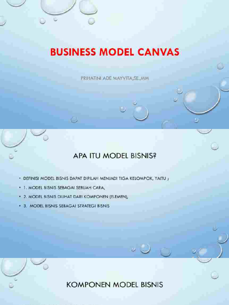 business model canvas PDF