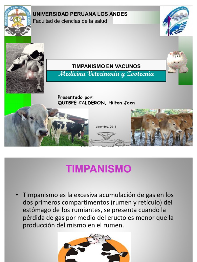 TIMPANISMO EN VACUNOS CAUSAS, TRATAMIENTO Y PREVENCIÓN PDF