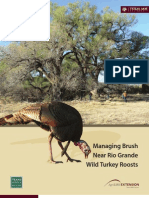 Managing Brush Near Rio Grande Wild Turkey Roosts