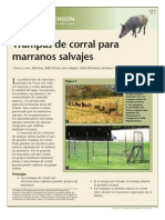 Trampas de corral para marranos salvajes