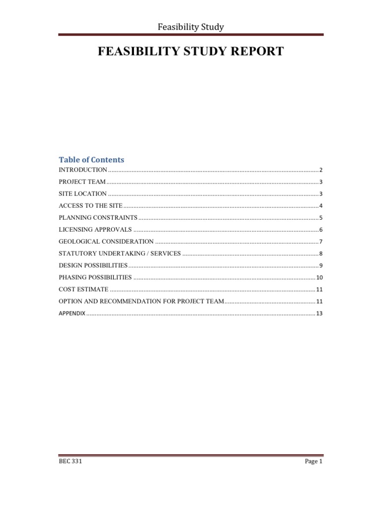 Feasibility report example for students image