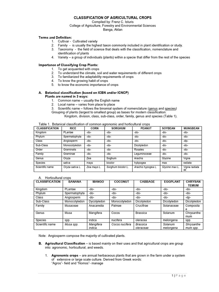 Classification of Crops | PDF