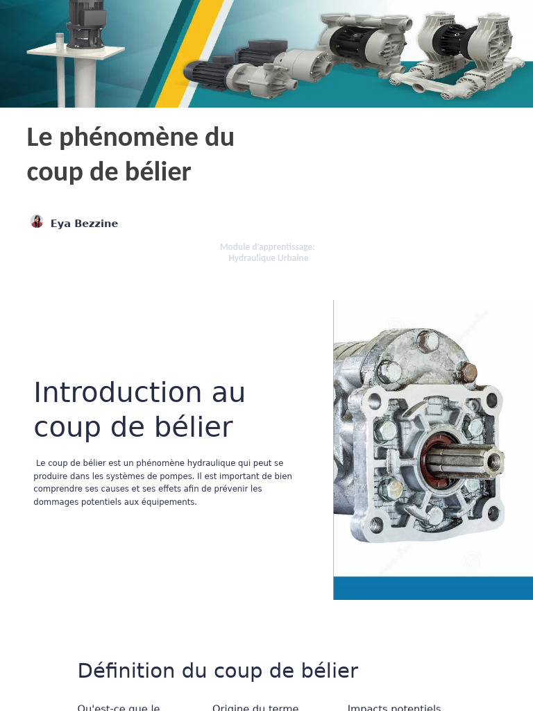 Introduction Au Coup de Belier PDF — free download