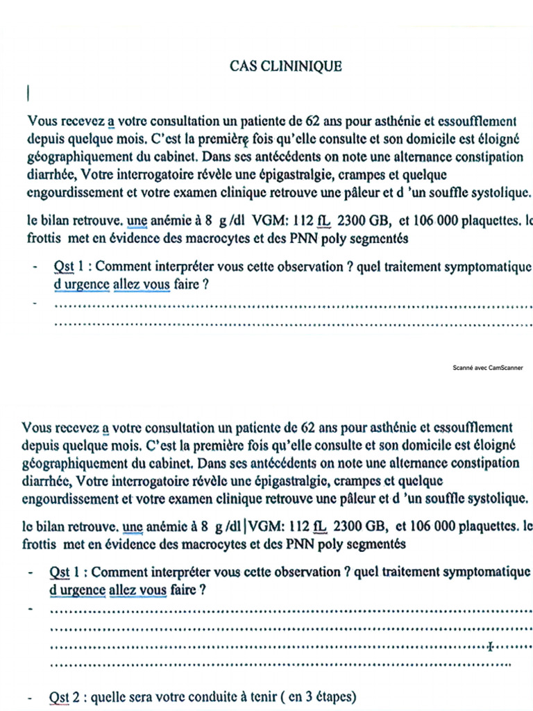 Paleur 08102024 G2 | PDF
