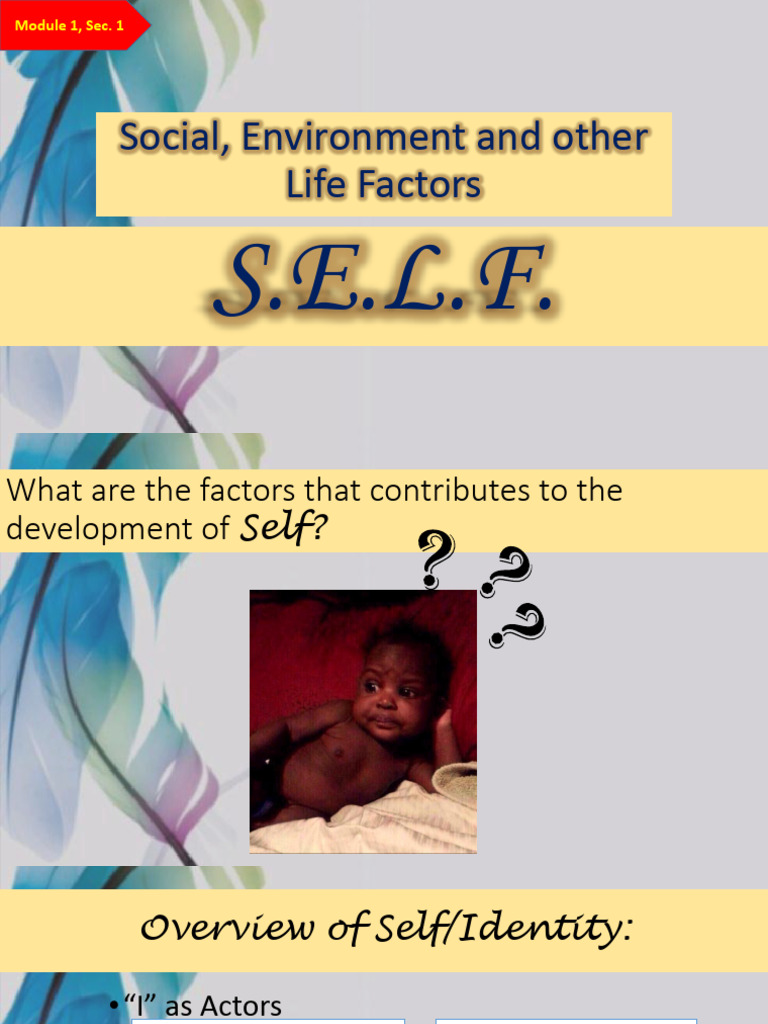 Module 1, Sec.1 The S.E.L.F. | PDF | Identity (Social Science) | Wellness