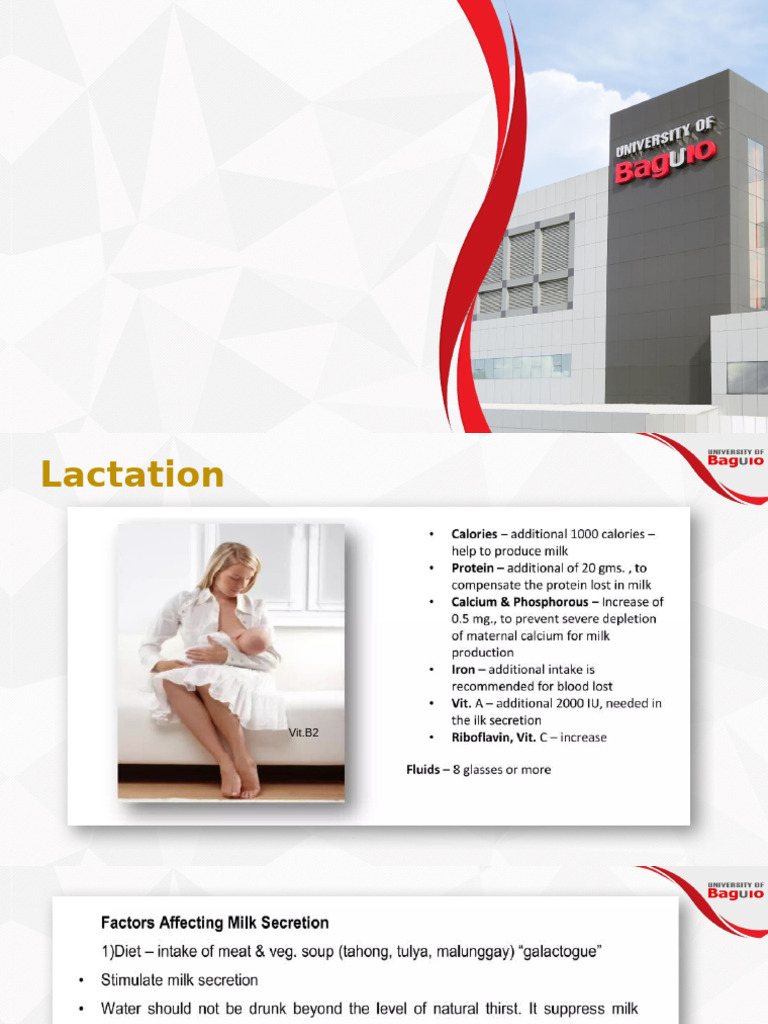 Infancy | PDF
