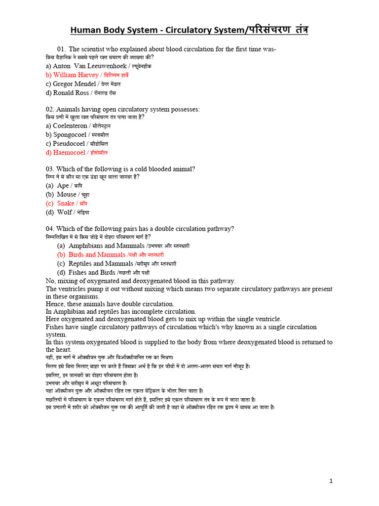 Circulatory System | PDF