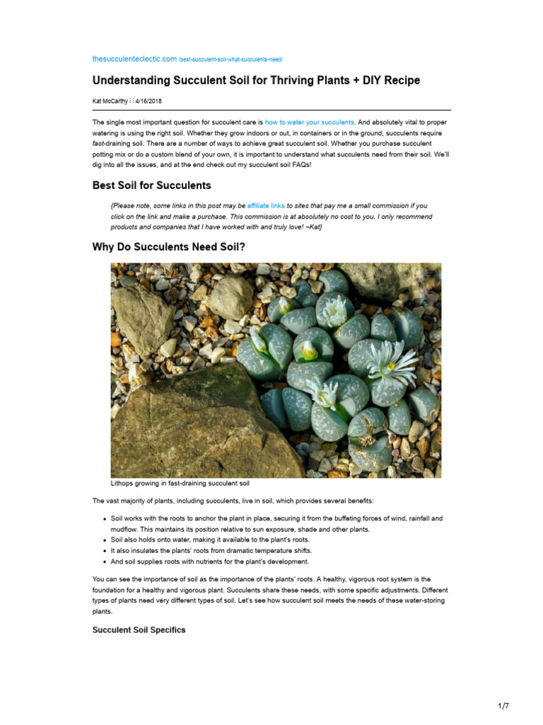 Understanding Succulent Soil For Thriving Plants DIY Recipe | PDF