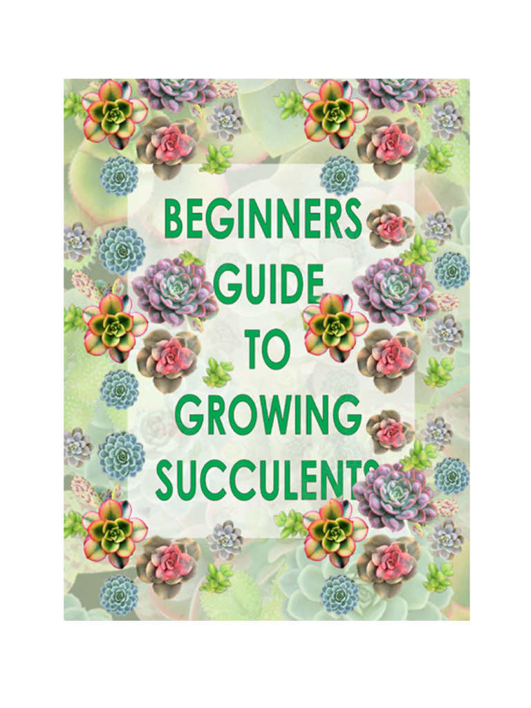 Succulents For Beginners Guide | PDF