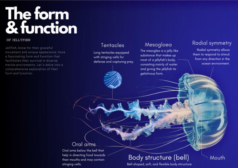 The form and function pdf pdf