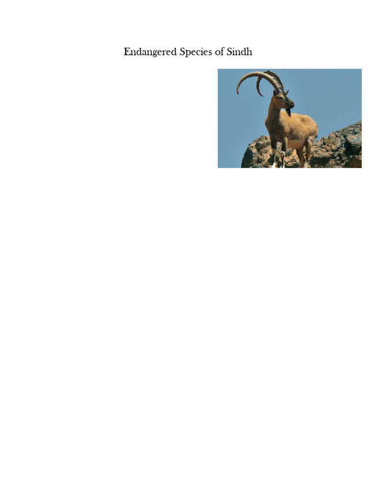 endangered-species-of-sindh-pdf