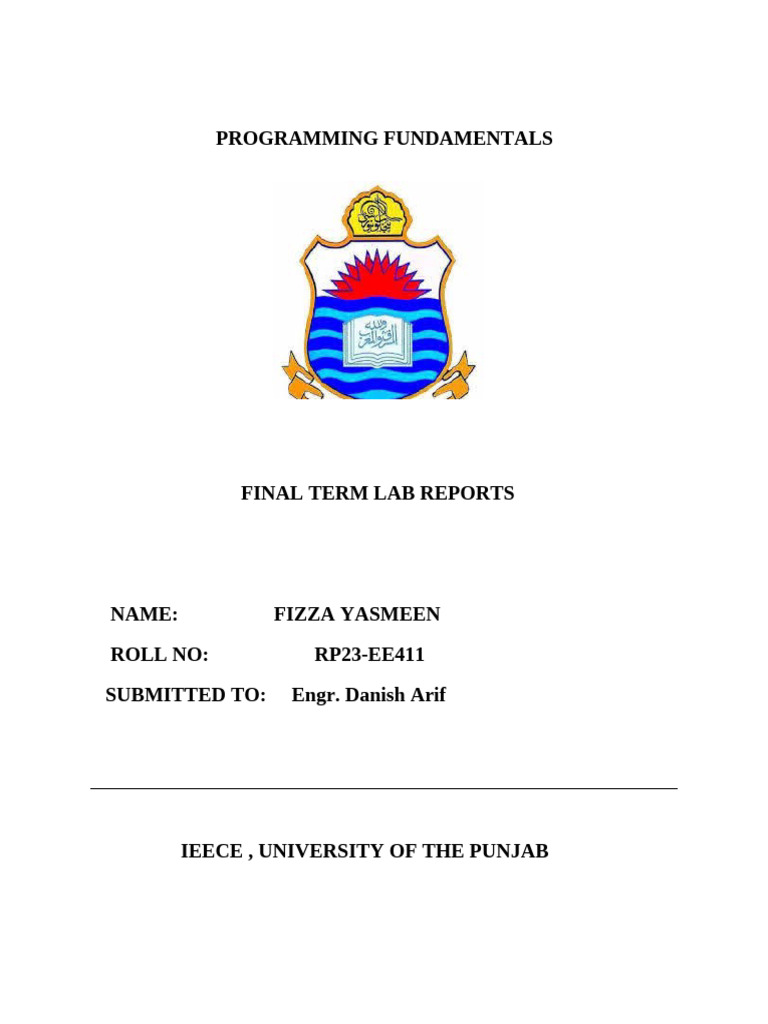 Programming Fundamentals | PDF