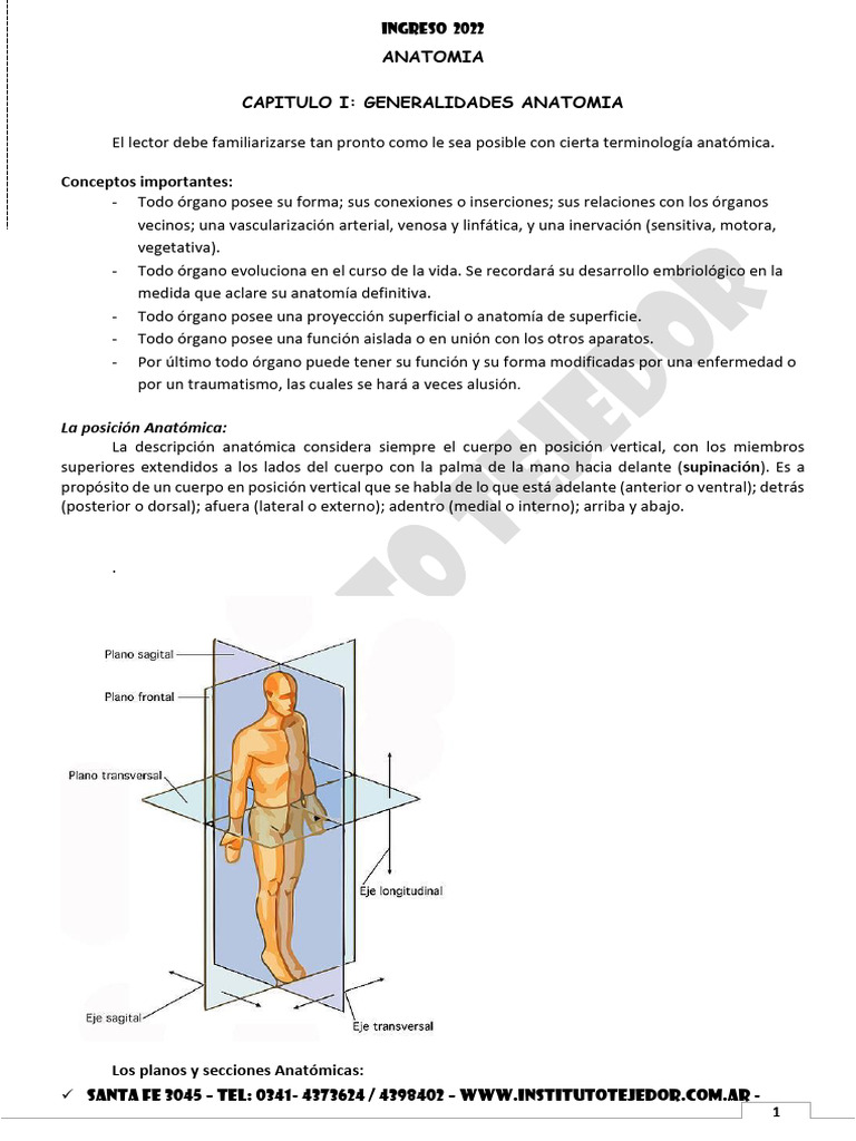 ANATOMIA ingreso UNR medicina captulo 1 | PDF