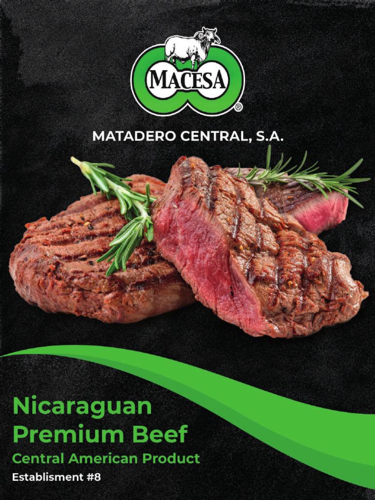 Macesa 2024 | PDF