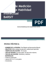 Presentación Barsit