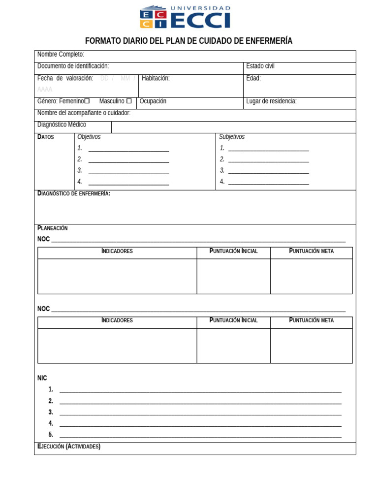 Formato Plan de Cuidado Diario | PDF | Cuidado de la salud | Medicina